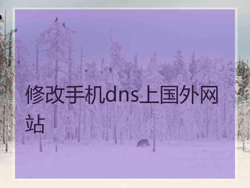 修改手机dns上国外网站