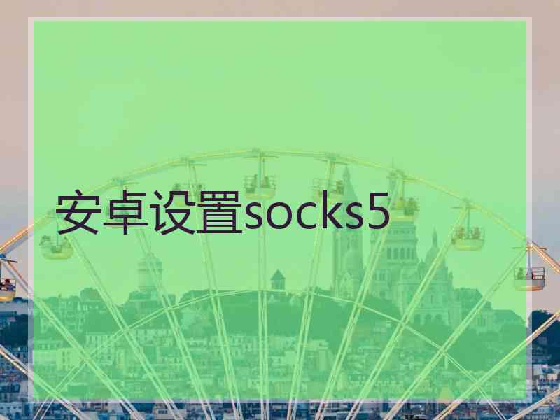 安卓设置socks5