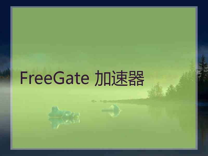 FreeGate 加速器