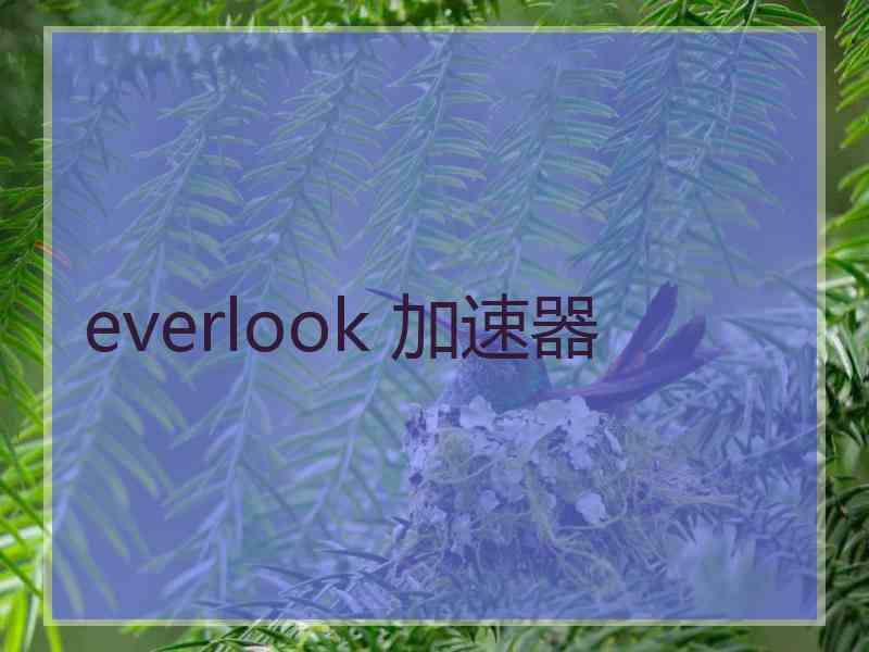 everlook 加速器