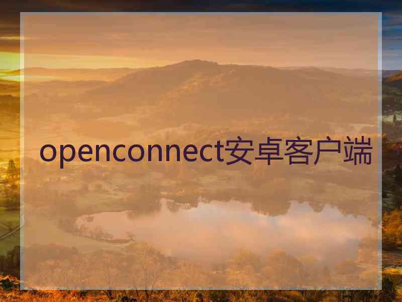 openconnect安卓客户端