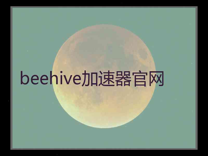 beehive加速器官网