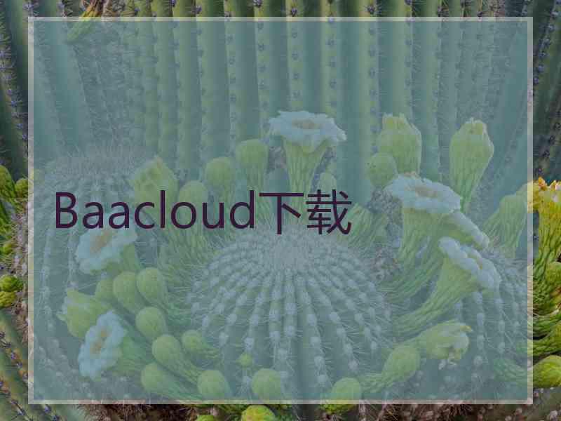 Baacloud下载