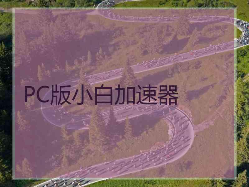 PC版小白加速器