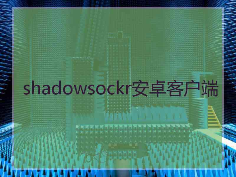 shadowsockr安卓客户端