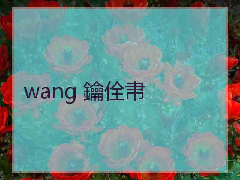 wang 鑰佺帇