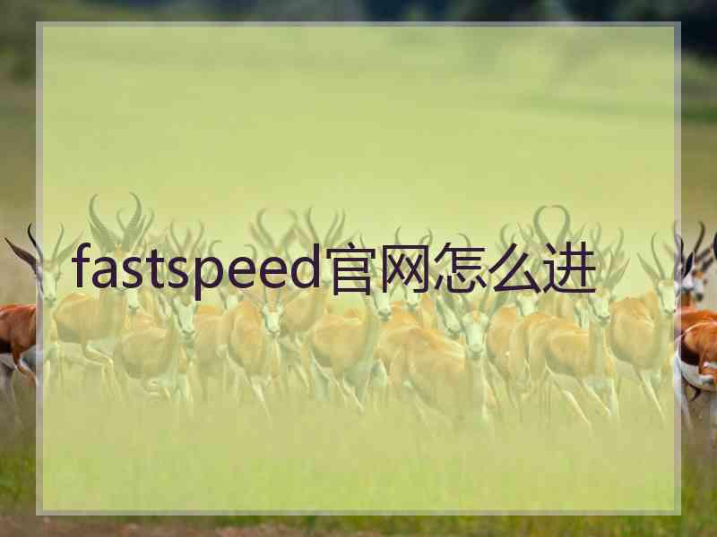 fastspeed官网怎么进