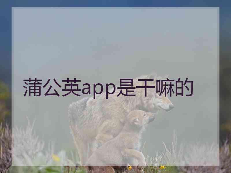 蒲公英app是干嘛的