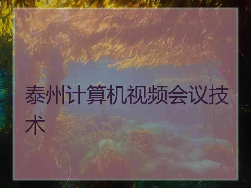 泰州计算机视频会议技术