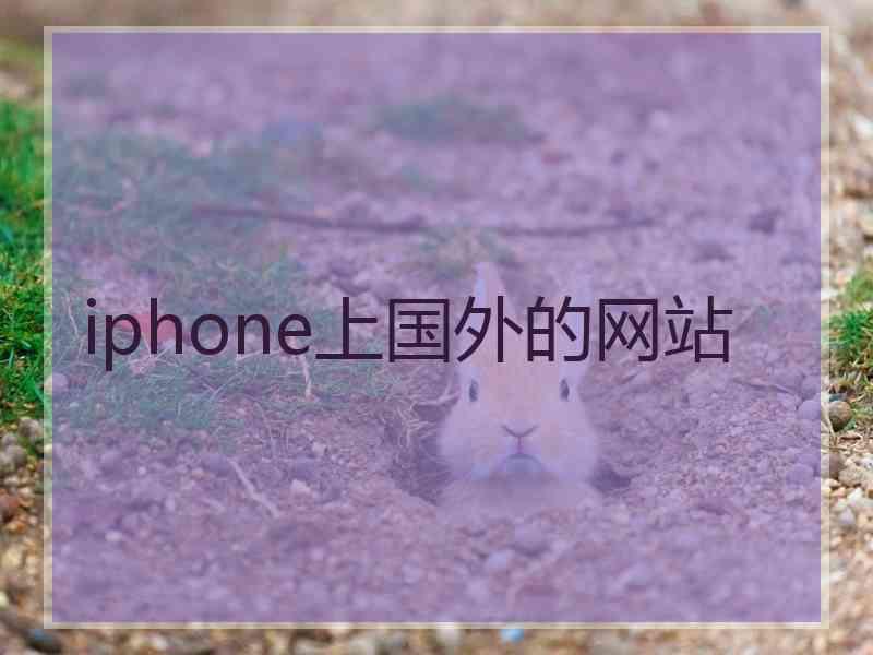 iphone上国外的网站