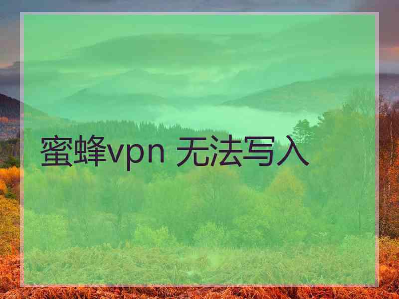 蜜蜂vpn 无法写入