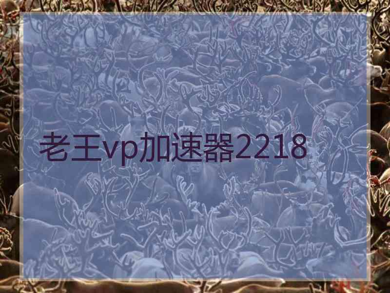 老王vp加速器2218