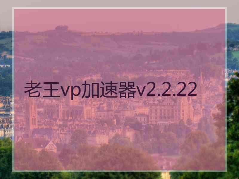 老王vp加速器v2.2.22