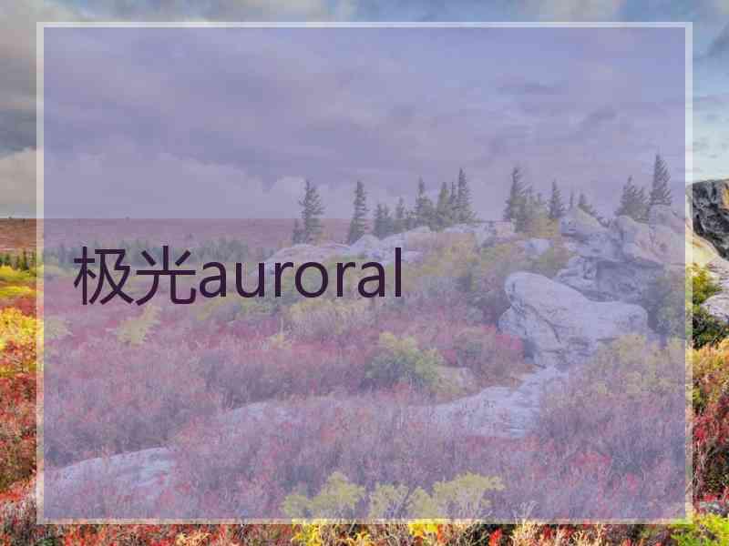 极光auroral