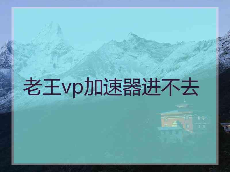 老王vp加速器进不去