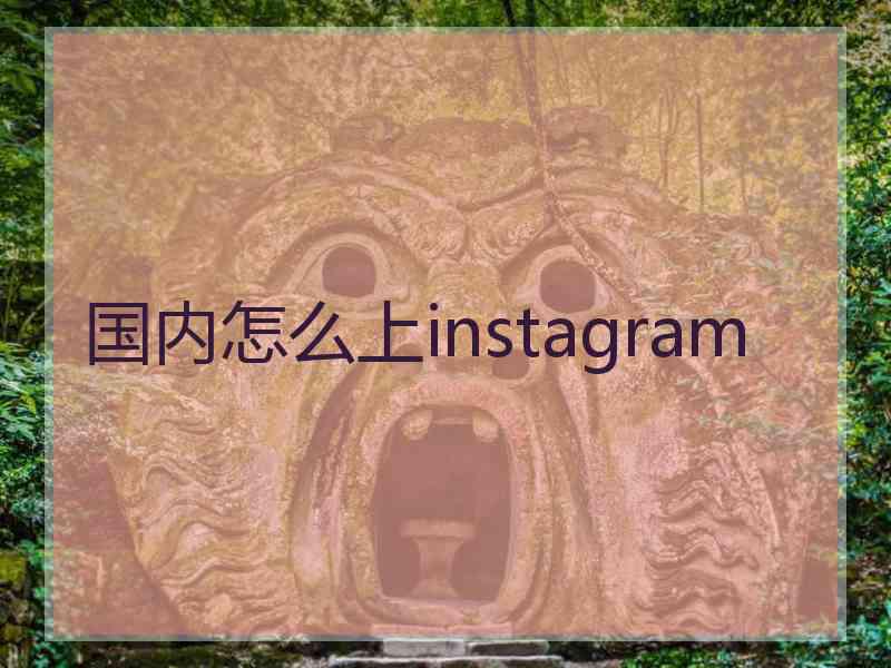 国内怎么上instagram