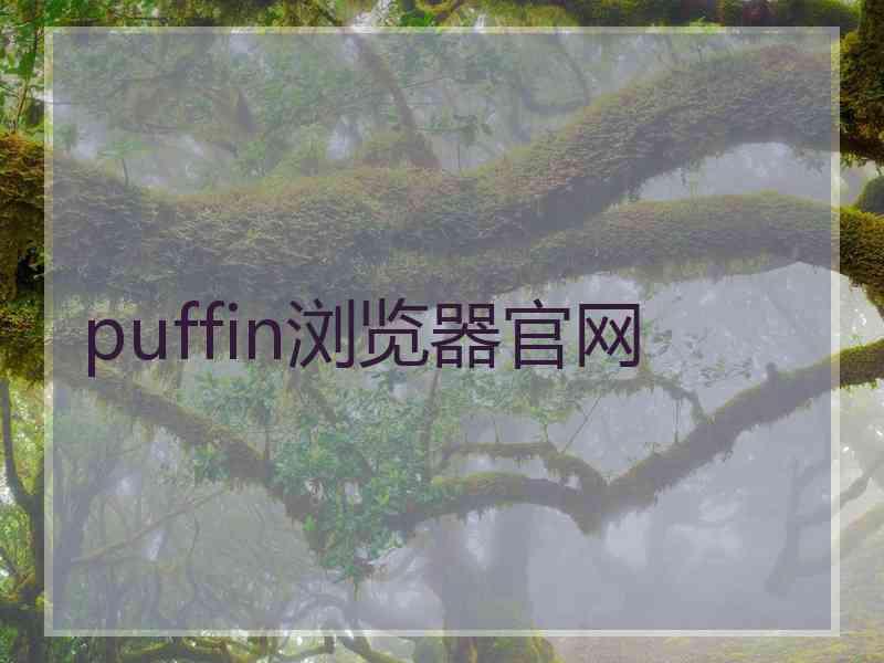 puffin浏览器官网