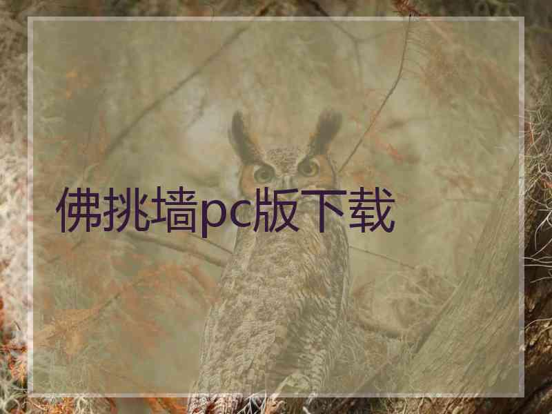 佛挑墙pc版下载