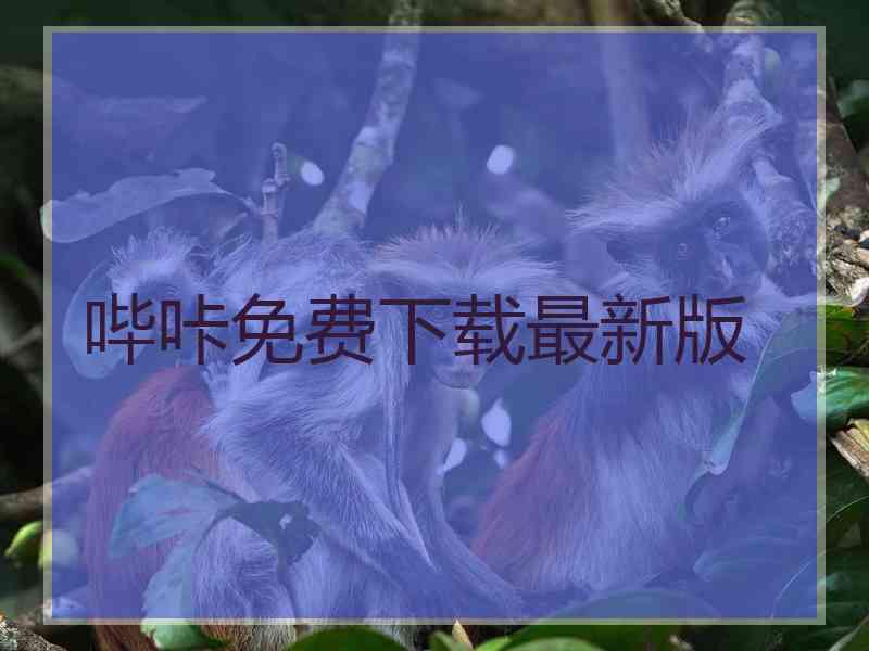 哔咔免费下载最新版