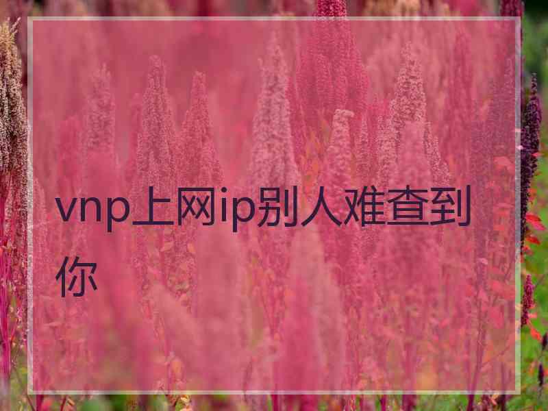 vnp上网ip别人难查到你