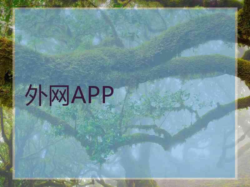 外网APP