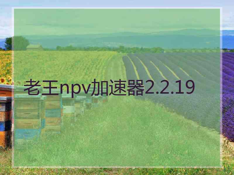 老王npv加速器2.2.19