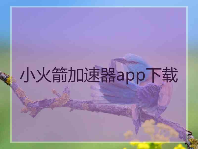 小火箭加速器app下载