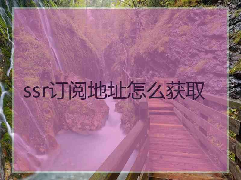 ssr订阅地址怎么获取