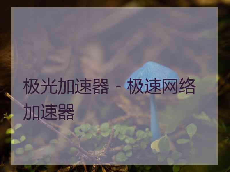 极光加速器 - 极速网络加速器