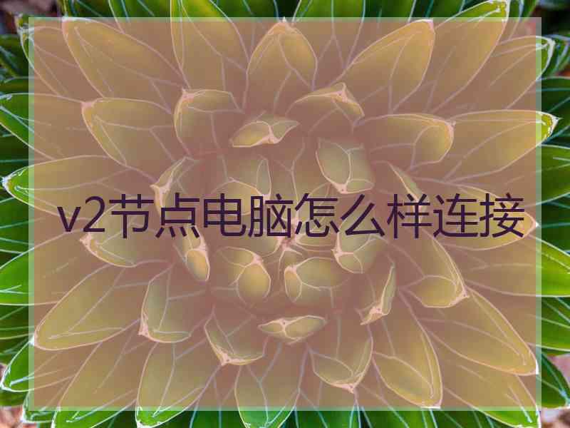 v2节点电脑怎么样连接