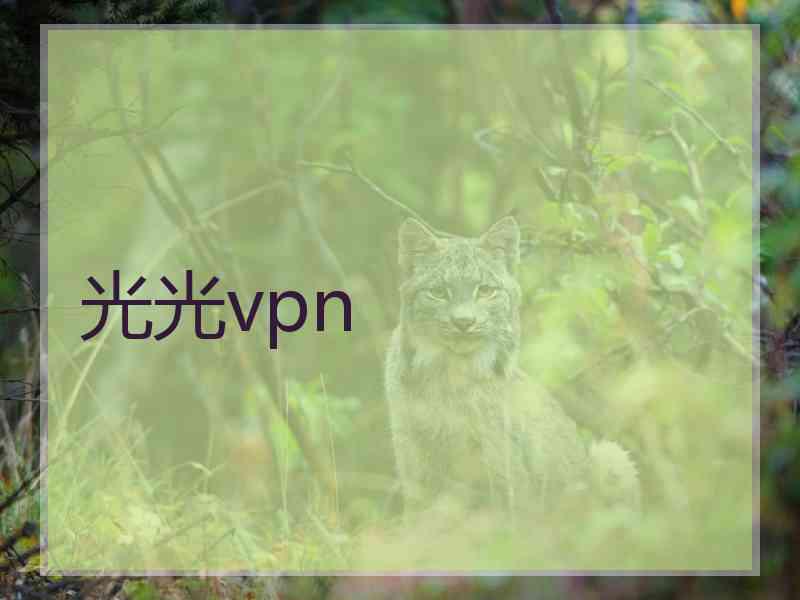 光光vpn