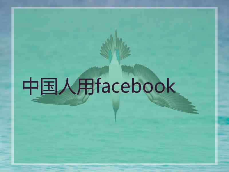 中国人用facebook