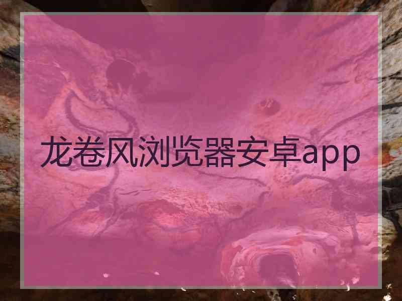 龙卷风浏览器安卓app