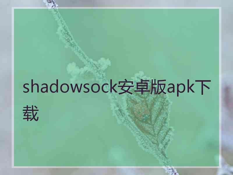 shadowsock安卓版apk下载