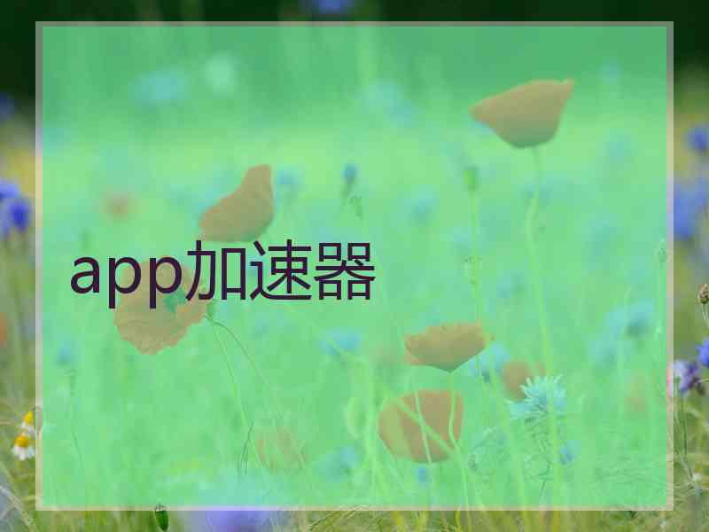 app加速器