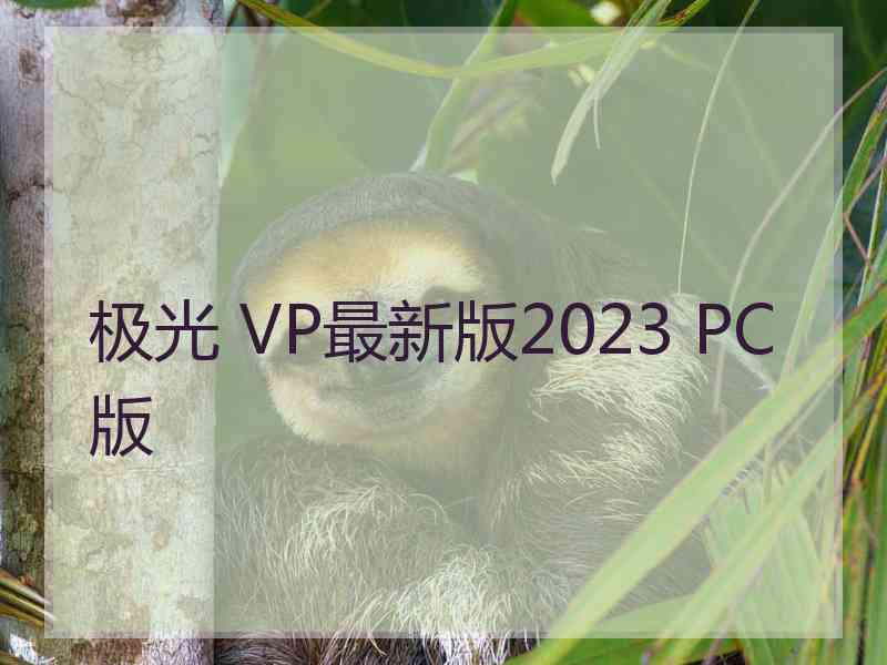 极光 VP最新版2023 PC版