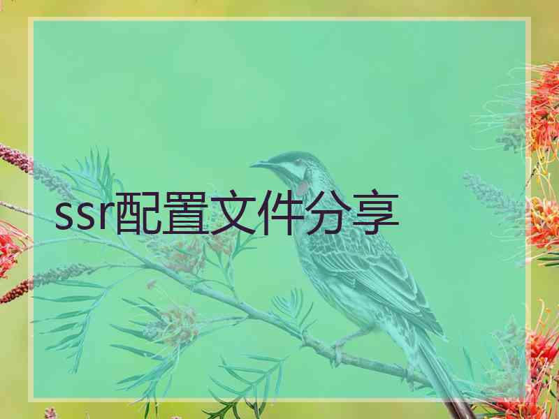 ssr配置文件分享