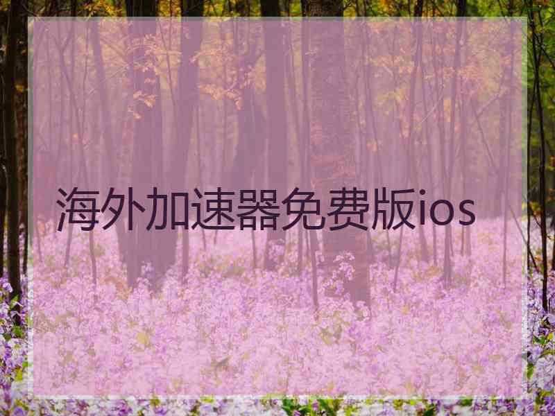 海外加速器免费版ios