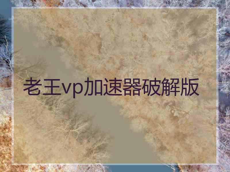 老王vp加速器破解版